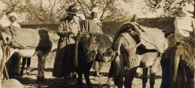 Kate Hosali standing near donkeys and mules in North Africa./Ph. DR