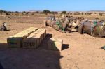 Maroc : Arrestation et saisie de plus d'une tonne de chira à Errachidia