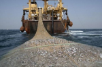 Accord de pêche : Le Polisario exige 4 MM ¬ de dédommagents à l'UE