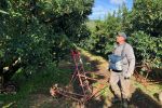 France : 900 saisonniers marocains pour sauver la récolte agricole en Corse
