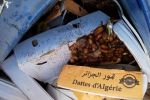 Une demi-tonne de dattes algériennes importées illégalement détruite à Casablanca