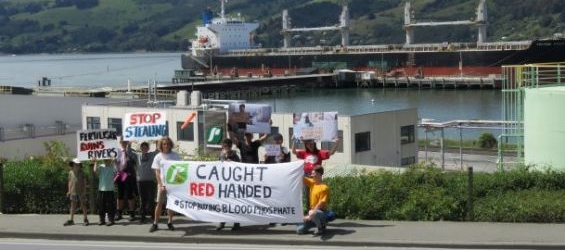 The gathering organized by a New Zealand local environmental organization on Sunday, December 16th, in Dunedin./Ph. WSRW