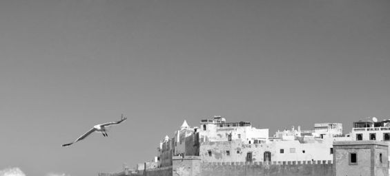 La ville d'Essaouira. / Ph. DR