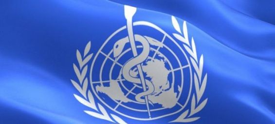 H1N1 flu : The Health Ministry and the WHO reassure Moroccans 