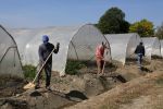Italie : Nouveau transfert d'ouvriers agricoles marocains depuis Tanger