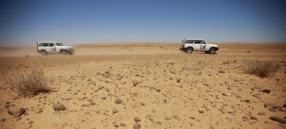 MINURSO cars in the Sahara./Ph. MINURSO