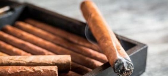 Cigars. / Ph. DR