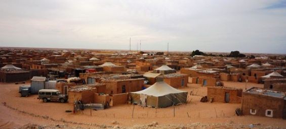 Tindouf camps in Algeria. / Ph. DR