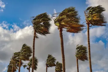 رياح محليا قوية وزخات مطرية رعدية مرتقبة اليوم الأربعاء وغدا الخميس بعدد من مناطق المغرب