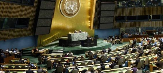 The UN General Assembly. / Ph. DR