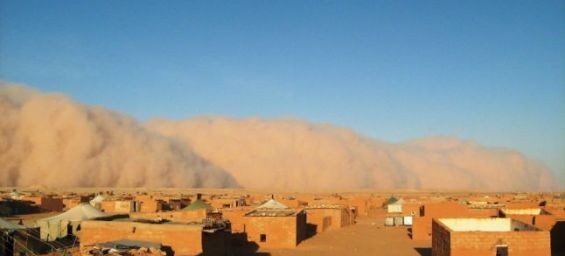 The Tindouf camps in Algeria. / Ph. DR