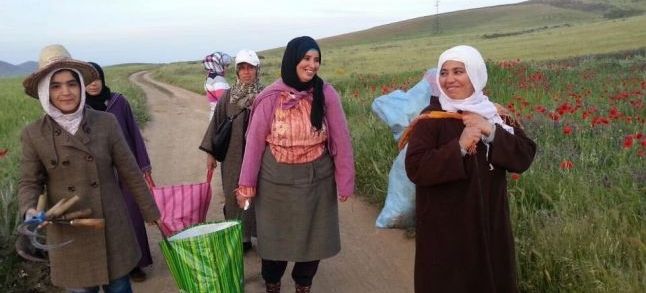 "Empowering Women in the Atlas", a program for helping women entrepreneurs in the rural world./Ph. EWA