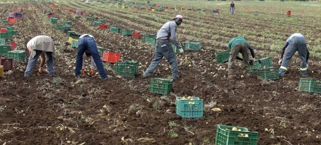 Migrant farm workers in Italy./Ph. DR