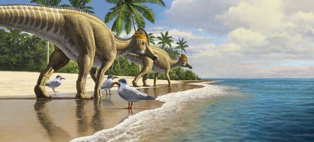 Paléontologie : La découverte de fossiles au Maroc réécrit le dernier chapitre de l’ère des dinosaures
