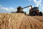 Maroc : Baisse de 67% sur la production des céréales principales en 2022