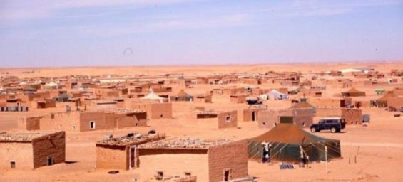 The Tindouf camps. / Ph. DR