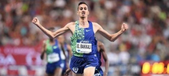 Moroccan athlete Soufiane El Bakkali. / Ph. DR