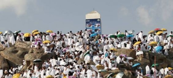 Hajj and climate change. / Ph. DR