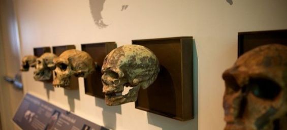 From ancestry to far away planets… Morocco’s five groundbreaking discoveries
