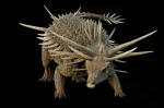 Un fossile de dinosaure couvert de piques découvert au Maroc