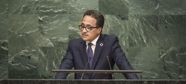 Mauritanian Foreign Minister Isselkou Ould Ahmed Izidbih./Ph. DR 