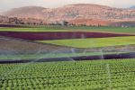 Fès-Meknès : Etude de faisabilité pour l'aménagement hydro-agricole de 54 000 ha