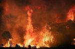 Canicule au Maroc : L'ANEF alerte sur le risque des feux de forêt