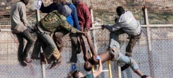 DR