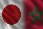 Séisme au Maroc : Le Japon fournit une aide humanitaire d'urgence