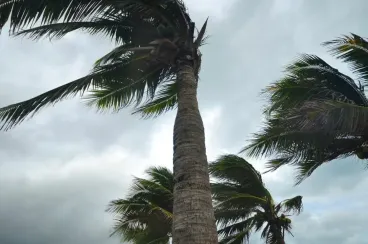 رياح قوية مرتقبة غدا الخميس بعدد من مناطق المغرب 