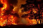 Maroc : Risque accru de feu de forêt du 19 au 21 août (ANEF)