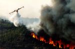 Chefchaouen : L'incendie de la forêt Akemsane maîtrisé, 295 hectares ravagés