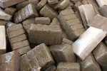Tanger Med : Saisie de plus de 4 tonnes de chira dans un camion à destination de l'Europe