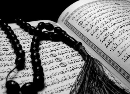 Résultat de recherche d'images pour "ISLAM LA GRANDE ILLUSION""