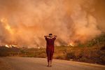 Incendies : Plusieurs forêts et oasis ravagées par le feu au Maroc