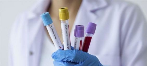 Morocco records two more coronavirus cases