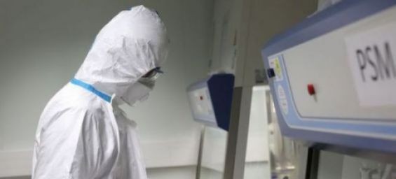 Confirmed coronavirus cases in Morocco reaches 61