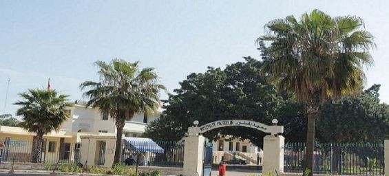Coronavirus : Morocco's Pasteur Institute to sue author of false recording