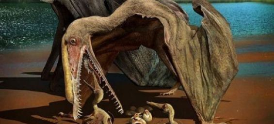 A pterosaur. / DR