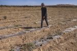 Avec des barrages remplis à 29,2%, le Maroc connaît la pire sécheresse de son histoire