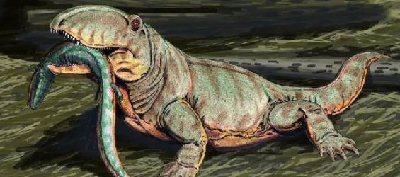 The Varanausorus and Ophiacodon, 2 reptiles with some characteristics of mammals./Ph. Gigadino