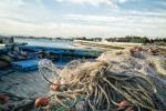 Accord de pêche : L'Andalousie exige des aides pour ses chalutiers au Maroc
