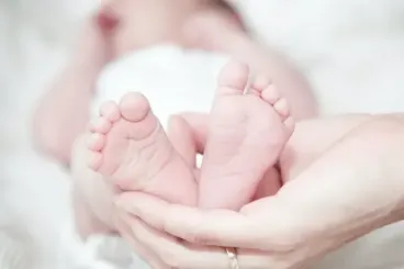 Morocco fertility rate drops to historic low