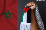 ONU : Le Maroc soutient une résolution pour un cessez-le-feu durable à Gaza