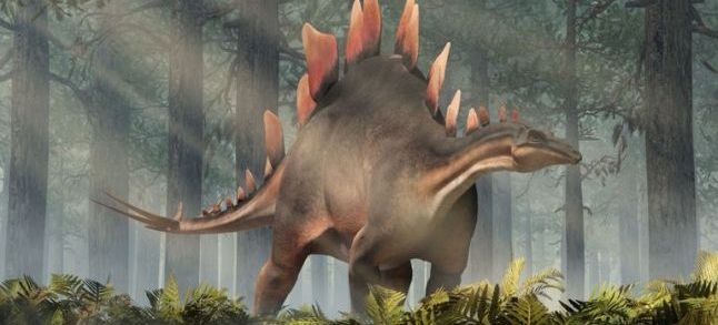 Stegosaur. / Ph. DR