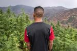 Maroc : Plaidoyer pour une amnistie des cultivateurs et l'usage récréatif du cannabis