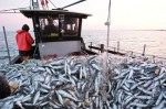 Le Maroc et l'Espagne veulent contourner l'expiration du protocole de pêche