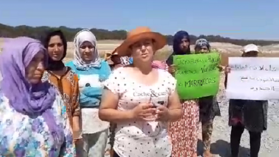 Moroccan workers in Spain want to return to the Kingdom after the end of the harvest. / DR