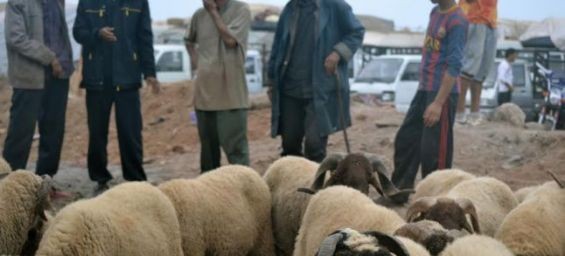 Morocco to celebrate Eid Al-Adha on July 31