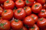 Le Maroc au troisième rang des exportations mondiales de tomates